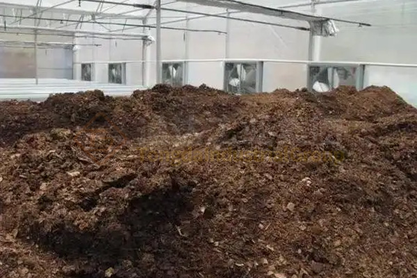 臭氣熏天“牛糞村”的蛻變：畜糞變身有機肥，成為種植戶的香餑餑